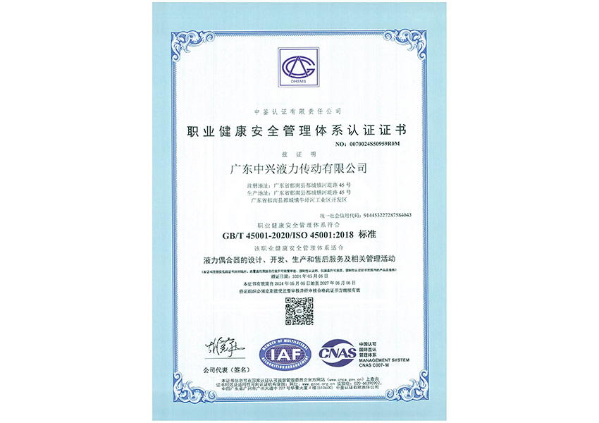 2024年職業(yè)健康安全管理體系認(rèn)證證書(shū)（中文）